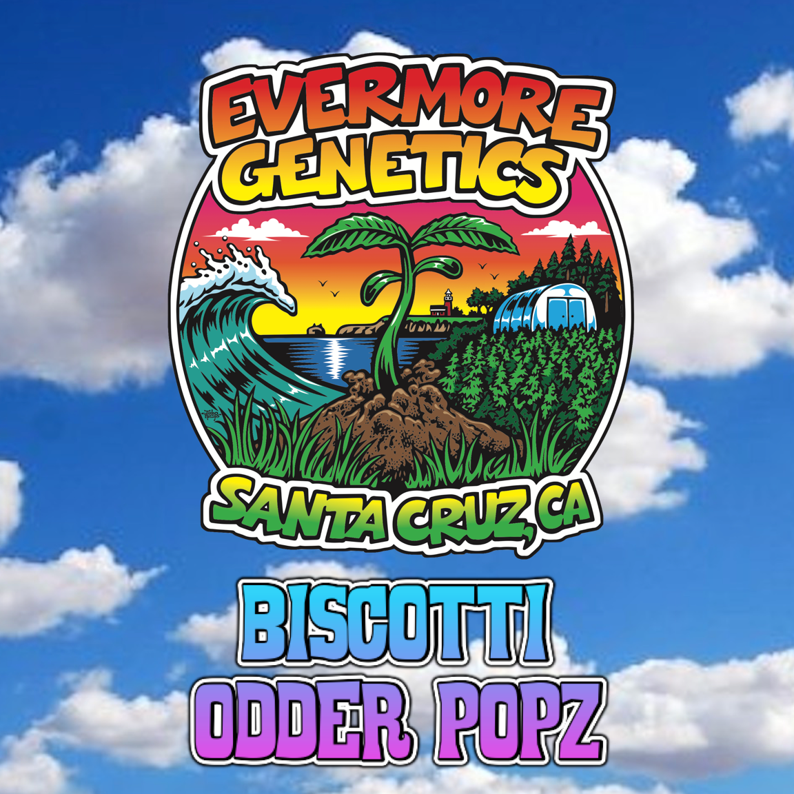 Biscotti Odder Popz