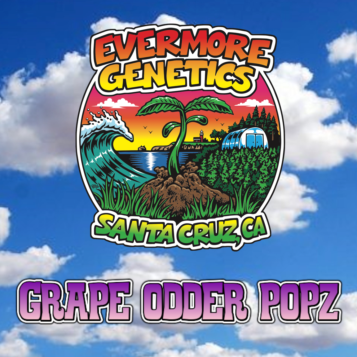 Grape Odder Popz (fem)